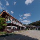 놀스타일 이미지