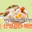 나·혼·산 근사한 계란 요리 이미지
