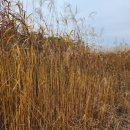 민원행정사사무소 이미지