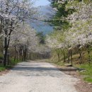 원주자연 이미지