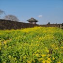 25.03] 제주도 애견동반 가볼만한 곳 성읍민속마을(구경하는집 주의!)