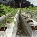 알파농장 이미지