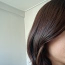 채련아뜰리에 | 코로나 검사 대기하면서 포스팅하다 양성 판정받은 나의 지난 일상…주륵