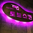 토브스킨