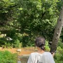 베니베럼 이미지