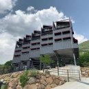 로시난테 이미지