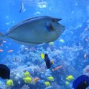 한국수산질병관리원 이미지