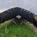 경안천 초부리 이미지