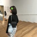 동서양의 어울림 탱고를 만나다 | 홍콩 여행 기록 1탄 🏗️🚦[홍콩익스프레스 후기, 홍콩 호텔 추천, 홍콩섬 투어- 미드레벨 에스컬레이터...
