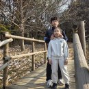 지현이네 이미지