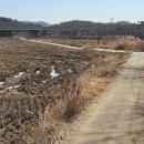 오리개우측2교 | 시흥 늠내길 6코스 시흥 종주길(관곡지 - 보통천 - 물왕호수)