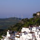 카사레스 이미지