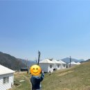 마운틴마트동원점 | 카지노를 비롯한 우리의 강원도 여행 기록하기 ,