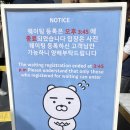 농사원 | 농담곰 홍대 팝업스토어 “봄날의 담곰이” 첫 날 웨이팅 후기