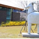 양구백자박물관 이미지