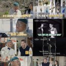 이웃집 bnt뉴스