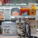 세븐일레븐 강릉중앙점 이미지