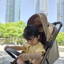 에그 스카이2 휴대용 유모차 초여름 외출에도 시원한 프리미엄유모차 후기