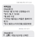 마리본문화원