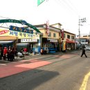 지평농장 티스토리