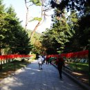 청룡동-1 이미지