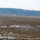 성환토굴새우젓 이미지