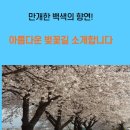 논산대로 이미지