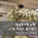 셀럽앤어셈 상담 후기｜27년 하반기 비수기·성수기 견적 공유