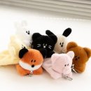 라이브펫 이미지