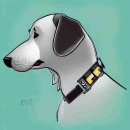 전북콩나물국밥 이미지