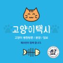 페츠런 이미지