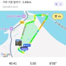 1546 | 2025 안산마라톤대회 5KM 후기