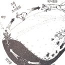 생명의 그물 2 이미지