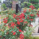 해찬펜션 이미지