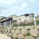 스테이 팔봉 이미지