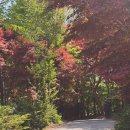 더숲소전미술관(deosup sojeon) | 힐링하기 좋은 시흥 단골 카페 ㅣ 더숲 소전미술관 (deosup sojeon)