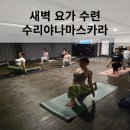 포항 예스 요가 | 수요일 새벽 개운하게 수리야나마스카라로 몸을 열어냅니다.