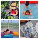 고창점옷바구니 | [고창 필베베팜]블루베리 체험 여름방학 물놀이 아이와 함께