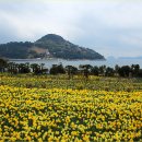 공곶이 언덕 이미지