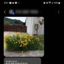 다소니하우스
