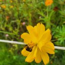 전라남도교육청순천만생태문화교육원 생태인문도서관 | 순천만 국가정원 주차 꿀팁 정보(동문 3주차장 만차일 때)