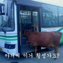 횡성 이미지