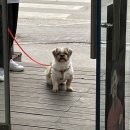 진원작은도서관 | 6개월 요점정리 스피드 요약본