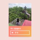 드디어 생긴 달콤왕가탕후루 답십리역점(왕가탕후루용답역) +탕후루종류