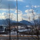 무주읍229 이미지