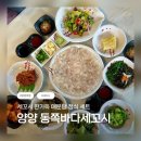 🐟 양양 세꼬시 회덮밥 섭국 맛집 / 양양 동쪽바다세꼬시