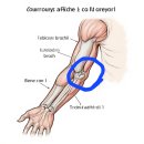 화봉정형외과의원 이미지