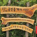 꿀벌아 고마워 공인중개사사무소 이미지