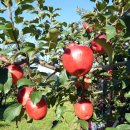 덕송농장 이미지