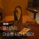 대숲향기 | 대숲 향기 따라 울산까지! 대나무빵 사러 간 썰